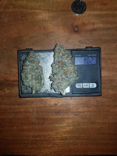 Asked My Guy For A 14 Got This And Was Only £60 Star Dawg Ruktrees