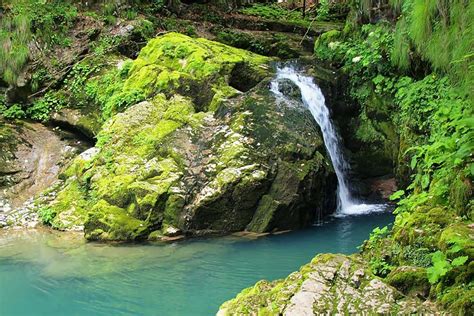 It is located in gorski kotar, the most mountainous and heavily forested region of the country. Nacionalni park Risnjak | CENTARZABAVE.com