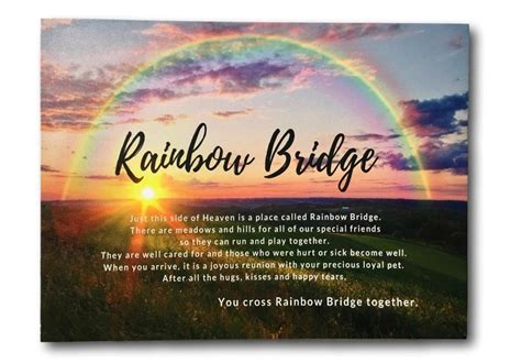 Rainbow Bridge Poem For Dogs And Cats Beautifully Portraid On Led Canvas