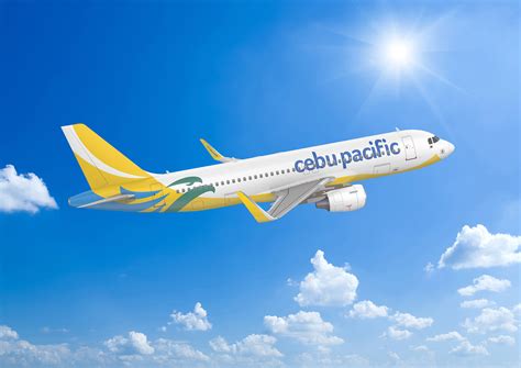 Founded in 1988 as cebu air, cebu pacific air, operating as a low cost carrier (lcc) now flies the greatest number of passengers in the philippines and has . Cebu Pacific renews fleet with order of 31 brand-new ...