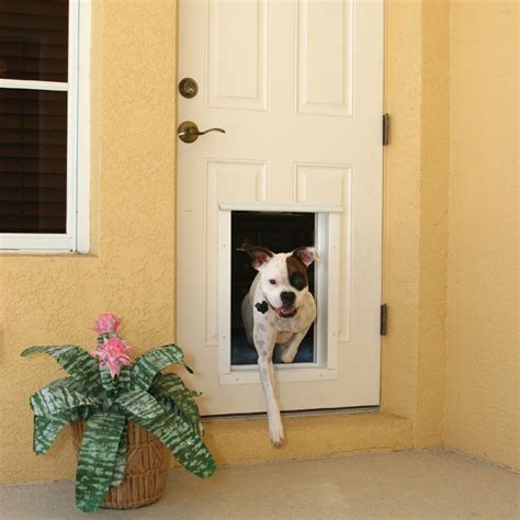 Is the smallest electronic pet door manufacturer, named for its owner henry solowieg. 18 Best Electronic Dog Doors (Reviews Updated 2020) - Dog ...