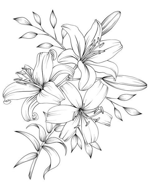 Beautiful Flower Drawings Flower Line Drawings Flower Art Drawing Flower Sketches Floral