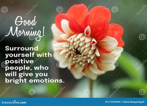 awe inspiring collection 999 beautiful good morning images with quotes in full 4k resolution