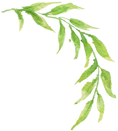 Greenery Watercolor Png Groveinspire