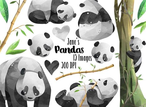 Watercolor Pandas Clipart Clip Art Animal Clipart Christmas Watercolor