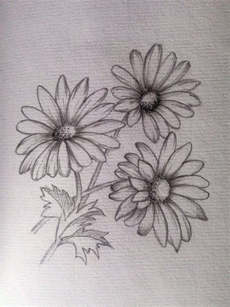 Sample Drawing Pencil Pictures Of Flowers For Adult Best Sketch