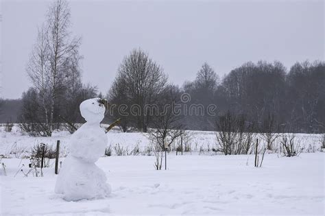 Funny Snowman On Snow Covered Rural Field Stock Photo Image Of Snow