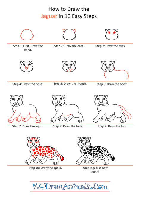 How To Draw A Cartoon Jaguar