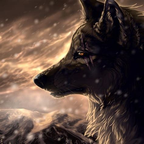 If you would like to know various other wallpaper, you could see our gallery on sidebar. 10 Best Cool Wolf Wallpaper Hd FULL HD 1920×1080 For PC ...
