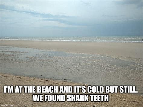 Shark Teeth Imgflip