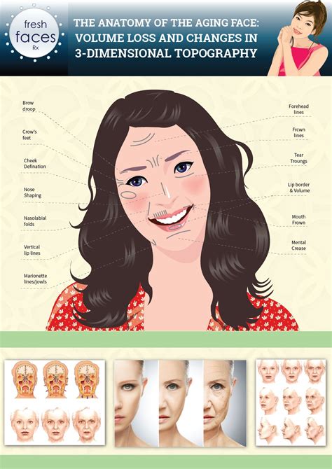 Anatomy Of An Aging Face 1