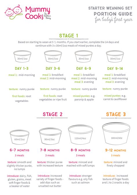 How To Start Weaning Guide For The 1st Year Baby Weaning First