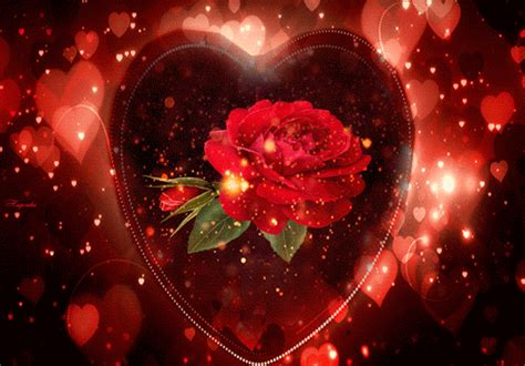 Animated Photo Animated Heart Love  Rose Images