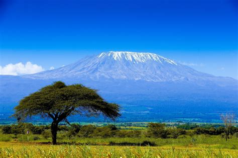 Climb Kilimanjaro The Highest Point In Africa English Mountain Planet