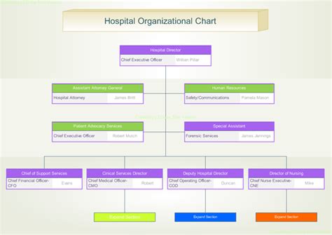 Hospital Organization Chart Department