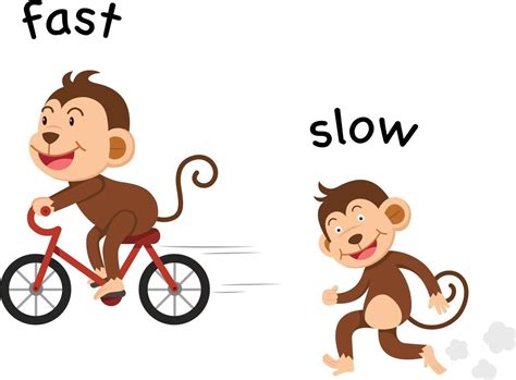 Opposite Fast And Slow Vector Illustration 3240080 Vector Art At Vecteezy