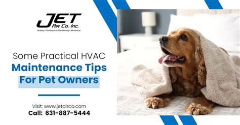 Some Practical Hvac Maintenance Tips For Pet Owners Jetairco