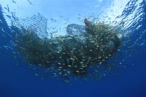 Why Is Overfishing Bad American Oceans