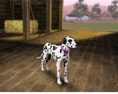 Guide To Everything New In The Sims 3 Pets Expansion Pack Game Yum