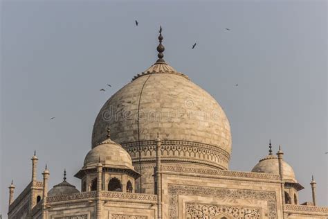 264 Taj Mahal Roof Stock Photos Free And Royalty Free Stock Photos From