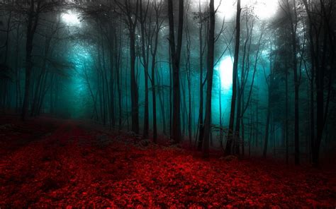 Red and blue digital wallpaper, abstract, digital art, minimalism. nature, Landscape, Red, Blue, Forest, Mist, Trees, Path ...