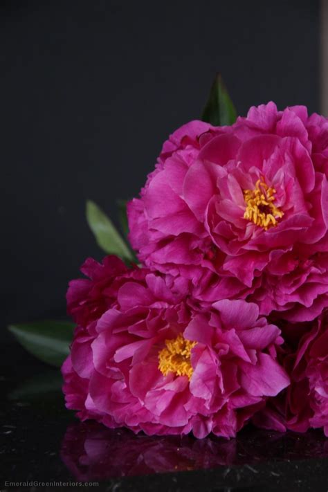 Maybe you would like to learn more about one of these? 2 Flower Girls June Edition: Peonies | Flowers, Peonies ...