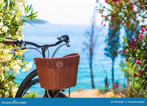 Beautiful Vintage Bicycle With Basket On Stock Image Image Of Bicycle