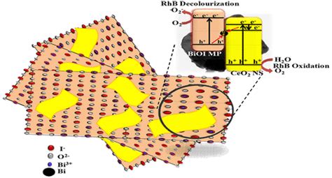 Facile Synthesis Of Ceo2 Nanosheets Decorated Upon Bioi Microplate A