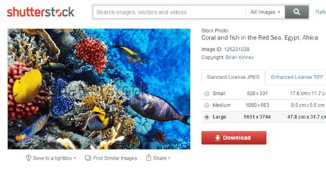 Free Images And Photos 10 Sites Like Shutterstock Freemake