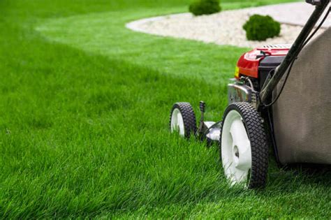 Organic Lawn Care Guide Kellogg Garden Organics™