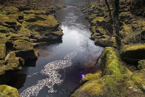The Bolton Strid Unknown Depth 100 Fatality Rate Vacation Places