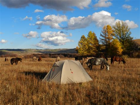 Camping with Horses - falling asleep in your tent to the sound of