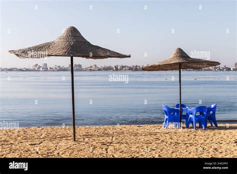 Straw Umbrellas And Blue Plastic Chairs Are On The Beach At Lake Timsah