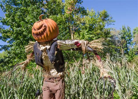 Spooky Scarecrows Are Taking Over The New York Botanical Garden