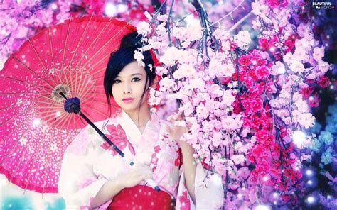 100 Japan Girl Wallpapers For Free