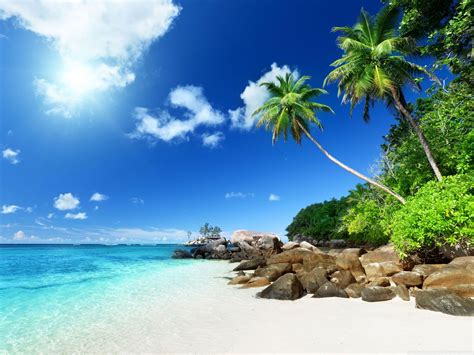 Paradise Beach Wallpapers Top Free Paradise Beach Backgrounds