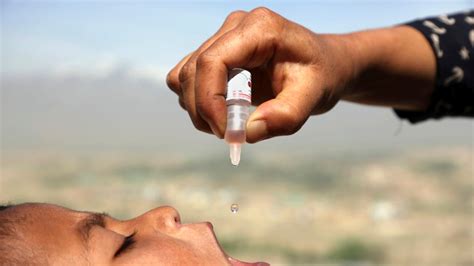 Polio In Uk Us Elsewhere Reveals Rare Risk Of Oral Vaccine