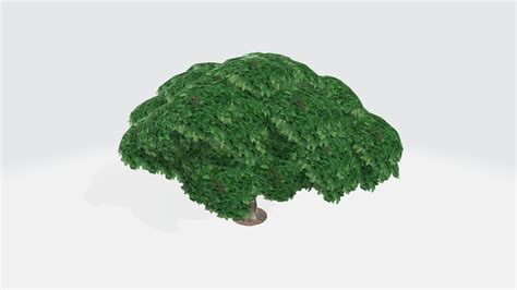 Fig Tree 3d Model 15 Fbx Free3d