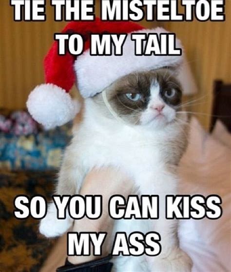 Almost Makes Me A Cat Person With Images Grumpy Cat Christmas
