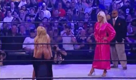 WWE Divas 50 Sexiest Moments Page 8