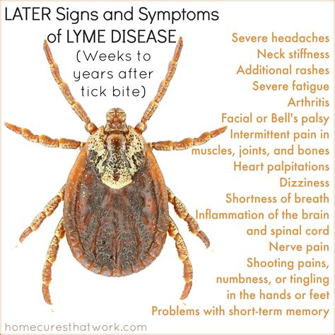 signs and symptoms lyme disease signs and symptoms