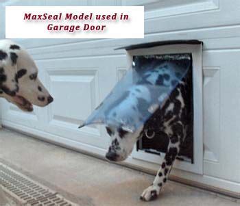Check spelling or type a new query. Overhead Garage Door Pet Doors | house stuff | Pinterest ...