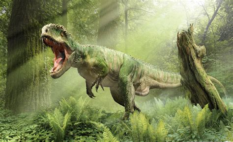 After getting formally described that year, giganotosaurus fossils found themselves featured everywhere from national geographic to good morning america. Giganotosaurus- Een reusachtige vleeseter die meedogenloos was