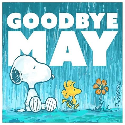 Pia Mater On Twitter Rt Peanuts4fans Goodbye May