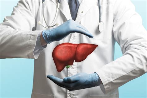 All You Need To Know About Liver Health Fyne Fettle