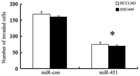 mir 451 potential role as tumor suppressor of human hepatoma cell growth and invasion