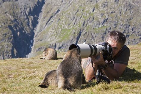 Animal Photographer Career Profile