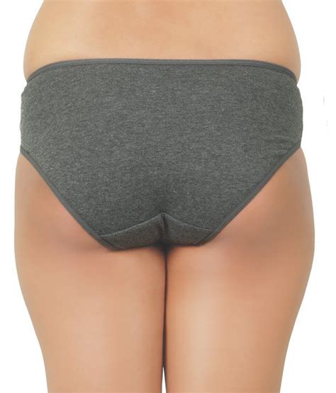 Buy Gentle Touch Grey Panties Pack Of 1 Online At Best Prices In India