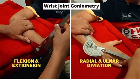 Wrist Joint Goniometry Wrist Flexion Extension And Ulnar Radial