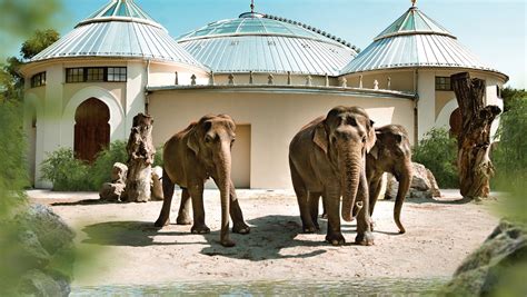 Münchner Tierpark Hellabrunn Preise Werden 2017 Erhöht